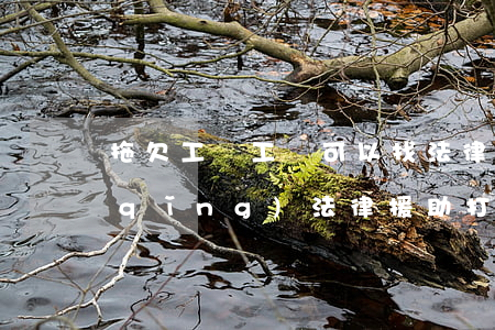 拖欠工傷工資可以找法律援助嗎(工傷申請(qǐng)法律援助打官司靠譜嗎)