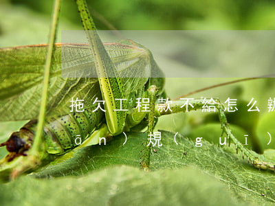 拖欠工程款不給怎么辦（工程款的相關(guān)規(guī)定是什么）