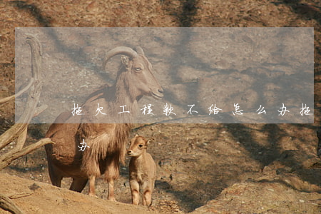 拖欠工程款不给怎么办(拖欠工程款不给怎么办)
