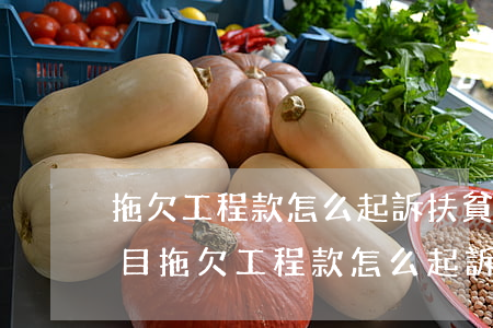 拖欠工程款怎么起訴(扶貧項(xiàng)目拖欠工程款怎么起訴)