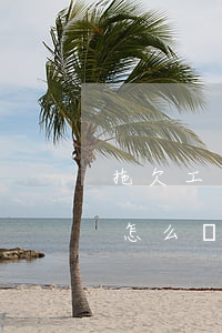 拖欠工資不給怎么辦(私人老板拖欠工資不給怎么辦)
