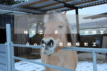 拖欠工資不給 沒簽合同怎么辦(沒簽勞動(dòng)合同,拖欠工資怎么辦)