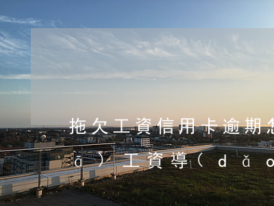拖欠工資信用卡逾期怎么辦(公司推遲發(fā)工資導(dǎo)致信用卡逾期)