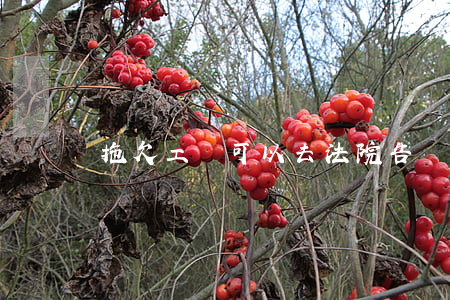 拖欠工資可以去法院告嗎(拖欠工資可以起訴嗎)