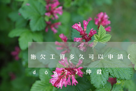 拖欠工資多久可以申請(qǐng)勞動(dòng)仲裁