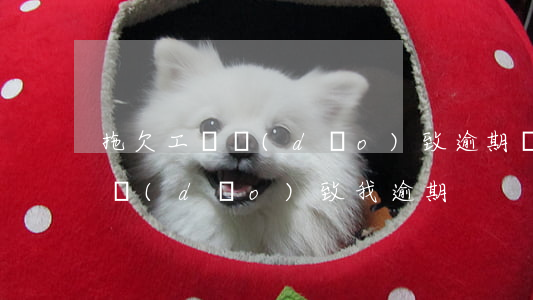拖欠工資導(dǎo)致逾期（別人拖我工資導(dǎo)致我逾期）