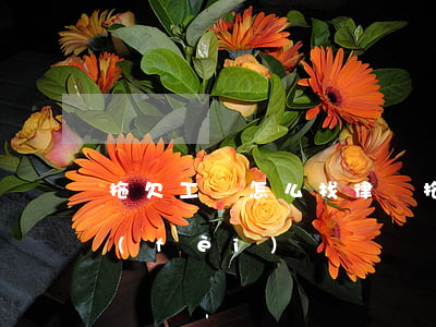 拖欠工資怎么找律師(拖欠工資律師怎么收費(fèi))