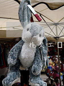 拖欠工資的欠條如何寫(欠工資怎么寫欠條)