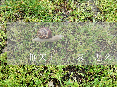 拖欠工資訴求書怎么寫(拖欠工資的訴求怎么寫)