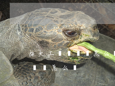 拖欠工資訴狀書怎么寫有范本嗎(拖欠工資訴訟書怎么寫)