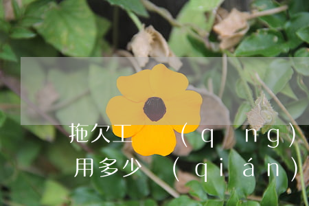 拖欠工資請(qǐng)律師費(fèi)用多少錢(qián)(拖欠工資找律師打官司費(fèi)用是怎么收的)