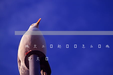 拖欠工資起訴書怎么寫(拖欠工資起訴書怎么寫 欠錢)