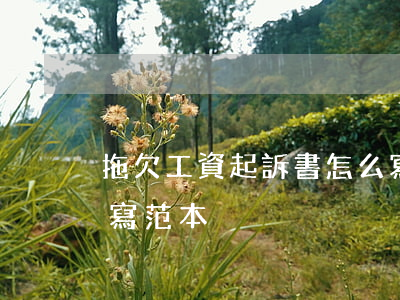 拖欠工資起訴書怎么寫(拖欠工資起訴書怎么寫范本)