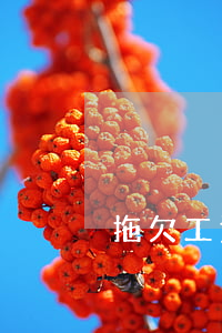拖欠工資還不上信用卡（廣州打工欠信用卡錢）