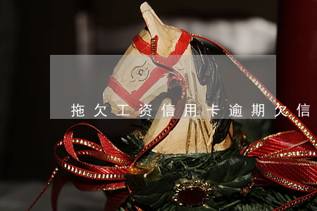 拖欠工资信用卡逾期(欠信用卡逾期了)
