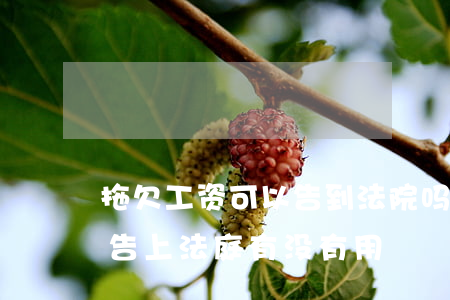 拖欠工资可以告到法院吗(公司拖欠半年工资告上法庭有没有用)