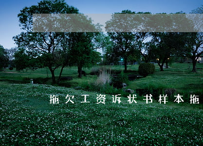 拖欠工资诉状书样本(拖欠工资诉状书样本)
