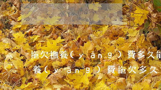 拖欠撫養(yǎng)費多久能起訴(女方撫養(yǎng)費拖欠多久會判刑)