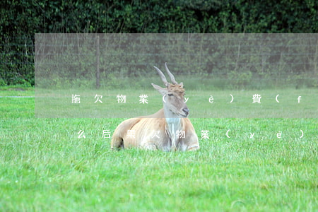 拖欠物業(yè)費(fèi)敗訴后有什么后果(欠物業(yè)費(fèi)敗訴不交會(huì)怎樣)