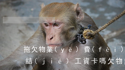 拖欠物業(yè)費(fèi)法院可以凍結(jié)工資卡嗎(欠物業(yè)費(fèi)會(huì)凍結(jié)銀行卡嗎)