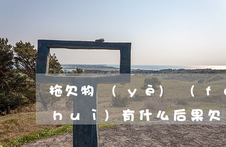 拖欠物業(yè)費(fèi)被起訴會(huì)有什么后果(欠繳物業(yè)費(fèi)被起訴的后果)