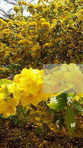 拖欠網(wǎng)貸多久會被起訴(一般網(wǎng)貸欠款多少會被起訴)