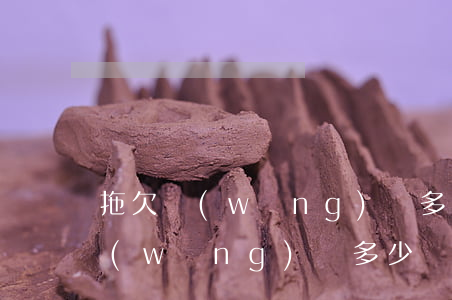 拖欠網(wǎng)貸多少立案處理(拖欠網(wǎng)貸多少錢會被追究刑事責(zé)任)
