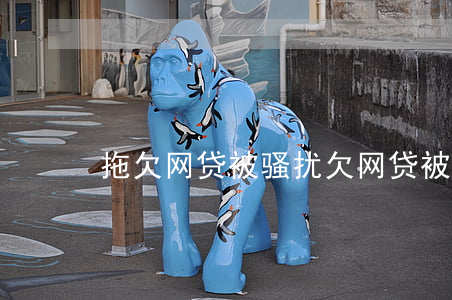 拖欠网贷被骚扰(欠网贷被骚扰可以报警吗?)