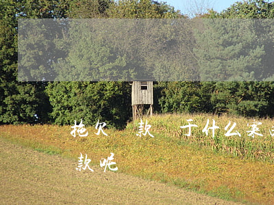 拖欠貨款屬于什么案由（如何合法追討拖欠貨款呢）