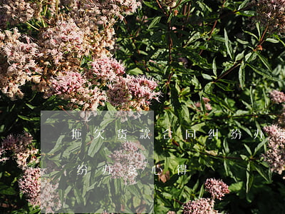拖欠货款合同纠纷办案心得(拖欠货款合同纠纷办案心得)