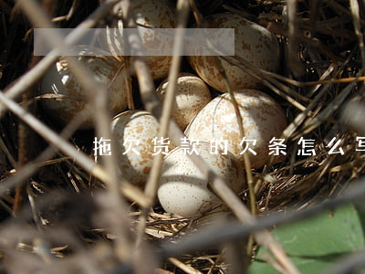 拖欠货款的欠条怎么写(企业欠款欠条怎么写)