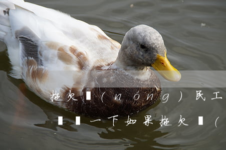 拖欠農(nóng)民工工資找哪里解決問題(問一下如果拖欠農(nóng)民工工資該怎么辦)