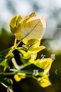 拖欠農(nóng)民工工資找哪里解決問題(關(guān)于農(nóng)民工拖欠工資的問題找哪個(gè)部門)