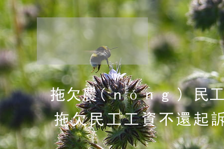 拖欠農(nóng)民工工資訴訟書怎么寫(拖欠民工工資不還 起訴狀怎么寫)