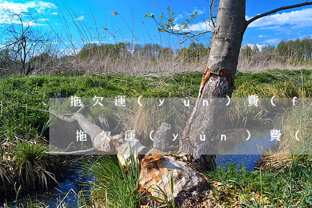 拖欠運(yùn)費(fèi)訴狀怎么寫(拖欠運(yùn)費(fèi)的訴狀怎么寫)