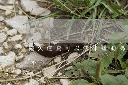 拖欠運費可以法律援助嗎(法院法律援助要錢不)