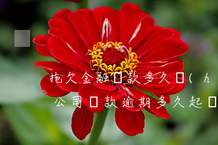 拖欠金融貸款多久會(huì)被起訴（金融公司貸款逾期多久起訴）