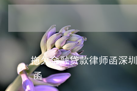 拖欠金融贷款 律师函（深圳中融小贷逾期律师函）