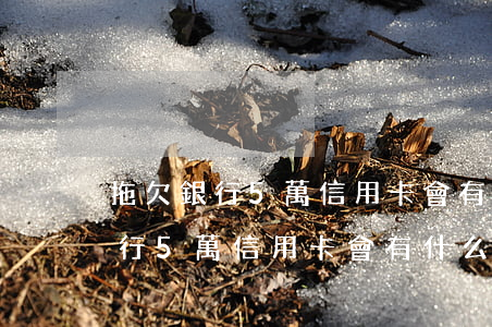 拖欠銀行5萬信用卡會有什么后果-拖欠銀行5萬信用卡會有什么后果嗎