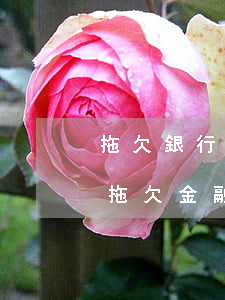 拖欠銀行貸款利息多久會(huì)被起訴(拖欠金融貸款多久會(huì)被起訴)