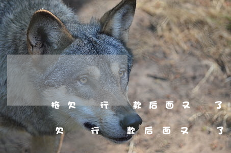 拖欠銀行貸款后面又還了,還會被起訴嗎-拖欠銀行貸款后面又還了,還會被起訴嗎