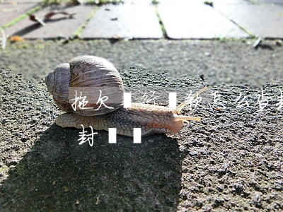 拖欠銀行貸款怎么查封 拖欠銀行貸款怎么查封賬戶