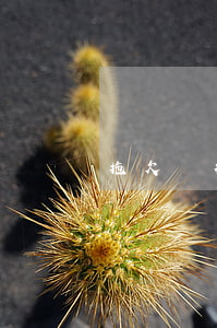 拖欠銀行貸款會判刑嗎（拖欠銀行貸款被拘留）