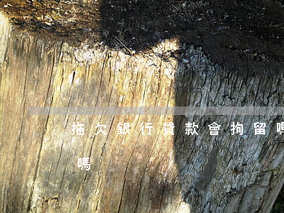 拖欠銀行貸款會拘留嗎(拖欠銀行貸款會坐牢嗎)