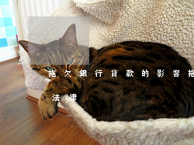 拖欠銀行貸款的影響 拖欠銀行貸款后果相關法律