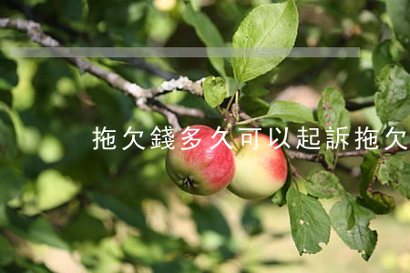拖欠錢多久可以起訴(拖欠帳多久算違法)