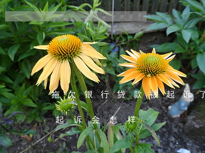 拖欠银行贷款被起诉了会坐牢吗(贷款拖欠被起诉会怎样)