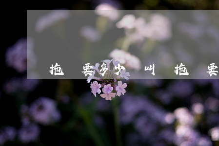 拖車要多少錢(叫個拖車要多少錢)