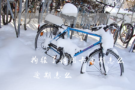 拘役了信用卡逾期怎么辦(刑事拘留后信用卡逾期怎么辦)