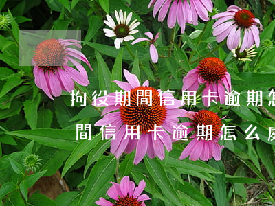 拘役期間信用卡逾期怎么處理最快-拘役期間信用卡逾期怎么處理最快呢